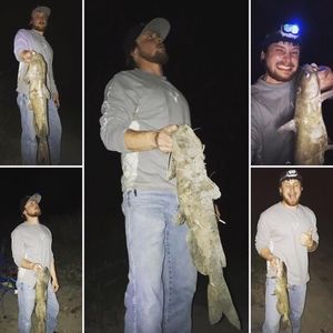 Meet your Posher, Luke